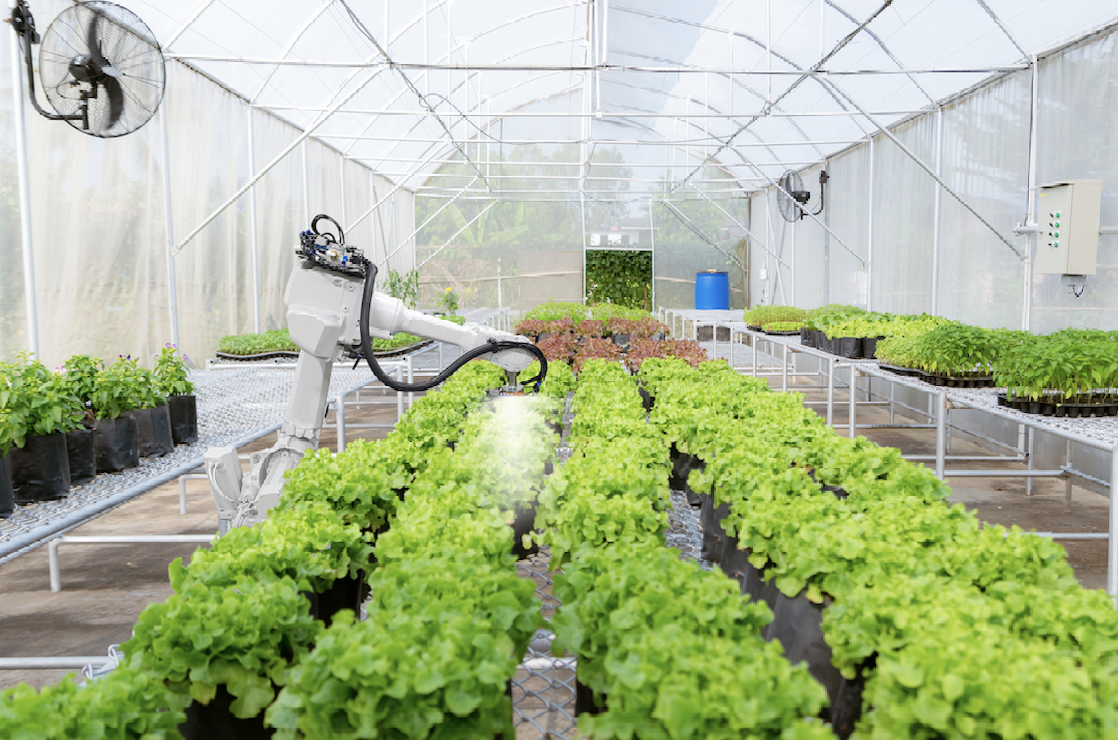 光合有效辐射测量 